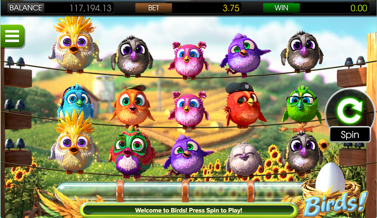 Birds