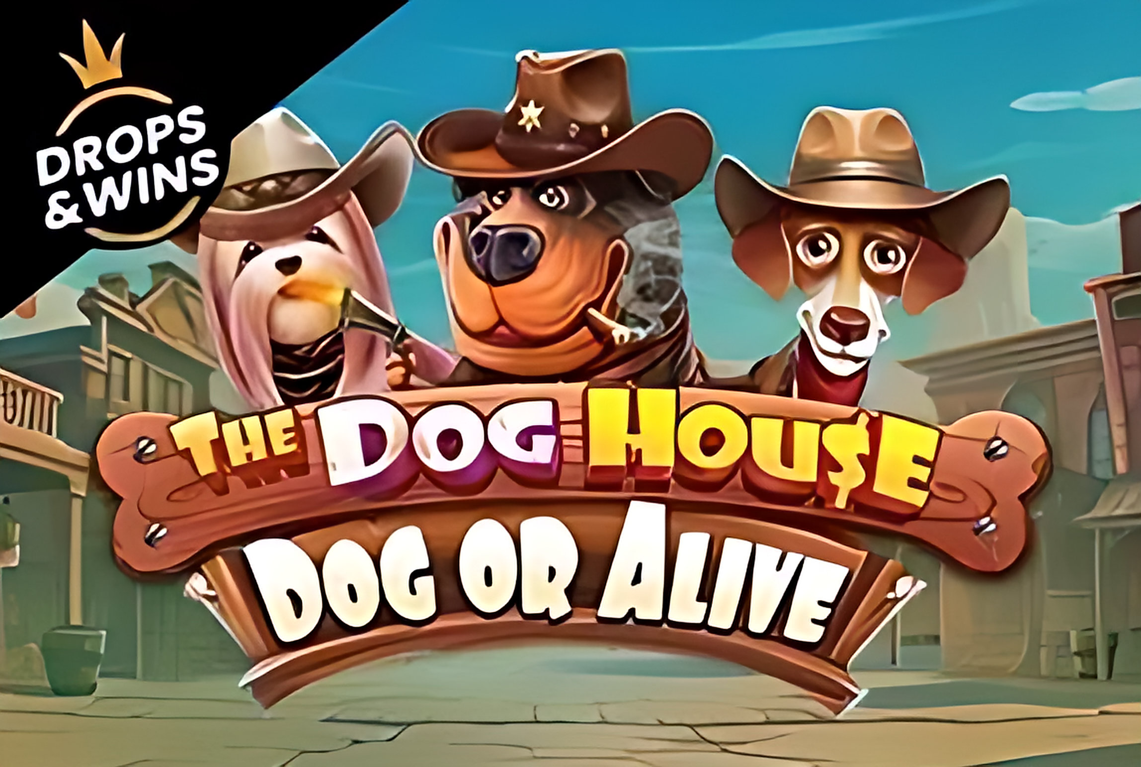 The Dog House – Dog or Alive