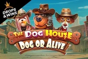 The Dog House – Dog or Alive