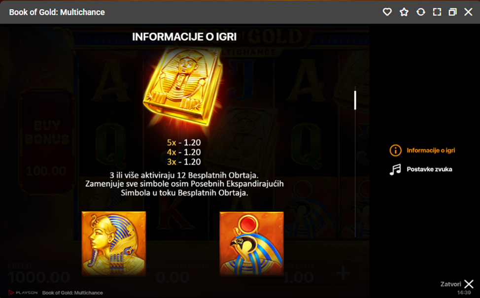 Bonusi i specijalne mogućnosti igre Book of Gold Multichance